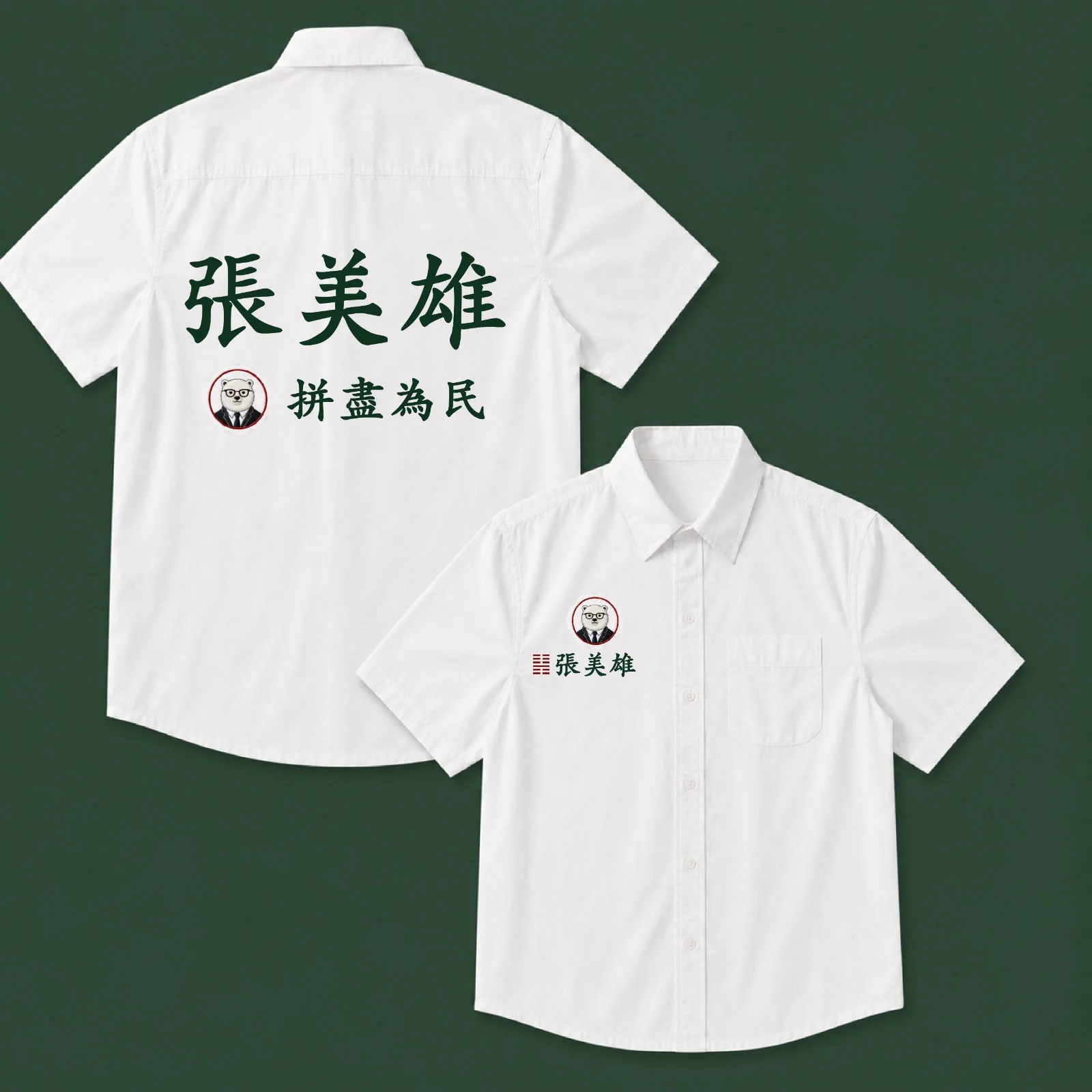 District Councilor Series Design