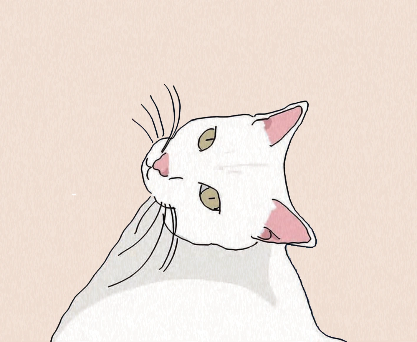 Portfolio portrait / profile image